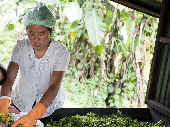 40 jaar Oxfam in Laos