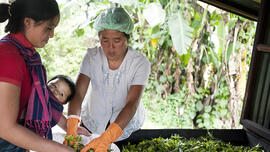 40 jaar Oxfam in Laos