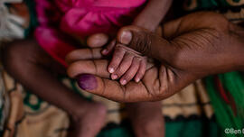 Les combats dans la région du Tigré (Ethiopie), combinés à la pandémie, la sécheresse et des invasions récurrentes de criquets, ont des conséquences désastreuses pour la population civile.