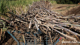 Biobrandstoffen Peru